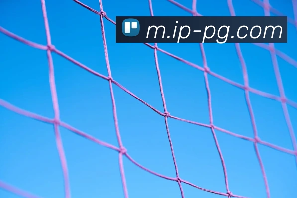 pg电子平台生态图